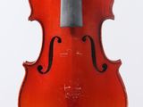 gros plan d'un violon sur fond blanc