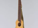 an image of a guitar hanging from a string on a wall