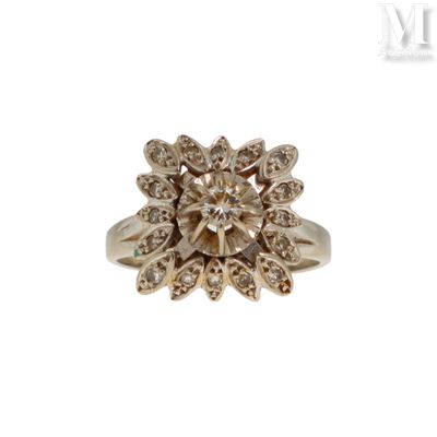 l'image d'une bague ornée de diamants