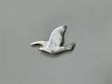 a silver bird that is flying in the sky