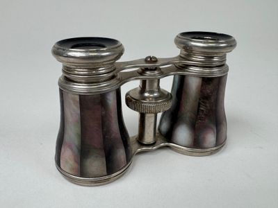 silver plated pair of binoculars on a white surface