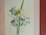 a picture of a picture of some flowers in a frame