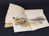an open book with a picture of a horse and rider on it