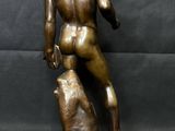 a bronze statue of a man with a dog on a black background