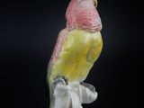 porcelain figurine of a parrot perched on a branch on a black background