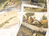 de nombreuses cartes posées sur une table, sur lesquelles figurent des images d'animaux