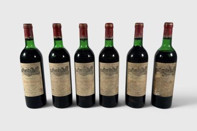 six bouteilles de vin sont alignées sur une surface blanche