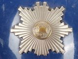 a picture of a badge on the back of a blue car