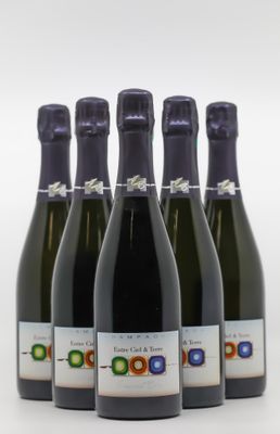 six bouteilles de vin sont alignées sur une surface blanche