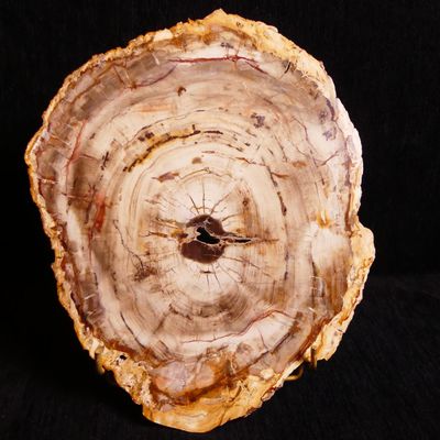 a piece of wood that has been cut in half