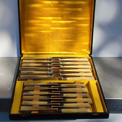a lot of knives in a case on the table