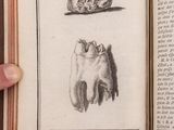 someone is holding a book with a drawing of a tooth and a skull on it
