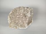 a close up of a rock on a white surface