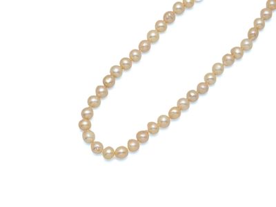 gros plan d'un collier de perles sur fond blanc