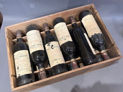 des bouteilles de vin sont rangées dans une caisse en bois accrochée au mur
