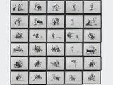 photographie en noir et blanc issue d'une série de clichés représentant des personnes à cheval