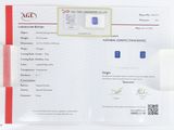 une photo d'un certificat orné d'un losange bleu