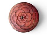 an image of a red flower on a white surface