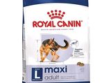 Royal Canin Maxi Adult : croquettes pour chiens adultes
