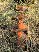 Fraise rotative hydraulique (photo 3)