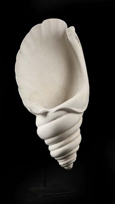 sculpture représentant un coquillage blanc sur fond noir