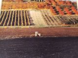 a picture of a farm with a tractor in the middle of the field