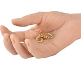 a hand holding a gold ring with a snake on it