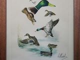 painting of ducks flying over a body of water in a wooden frame