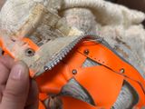 a person holding a pair of scissors in a bag
