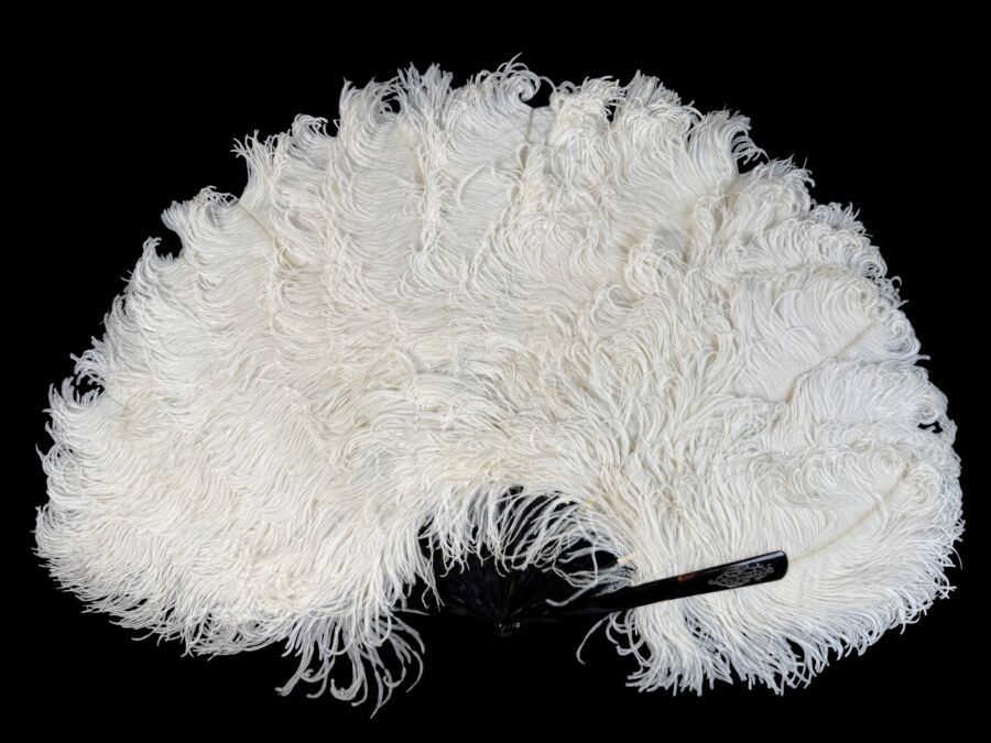 Plumes blanches, Europe, vers 1890-1900