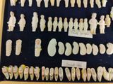 a lot of small figurines in a display case