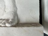 a cat that is sitting on the ledge of a building