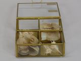 a glass box with shells inside of it on a table