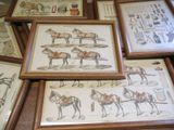 many framed pictures of horses and carriages on a table