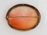 an image of a broochle with a red stone in the center