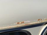 a close up of a car door handle with rust on it