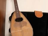 a musical instrument in a case on a table