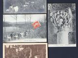 plusieurs vieilles photos représentant des personnes et des animaux dans un champ bordé d'arbres