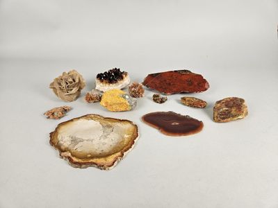 many different types of rocks and stones on a white surface