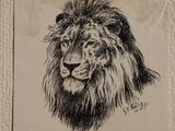 a picture of a drawing of a lion on a piece of paper