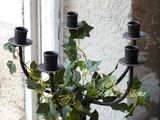 a plant that is growing out of a candelab