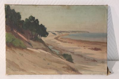 an image of a painting of a beach with trees on the shore