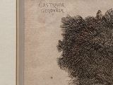 a picture of a drawing of a bear in a frame