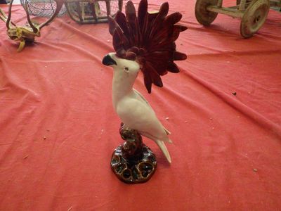 a white bird with a red mohawk on it ' s head sitting on a table