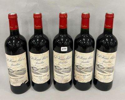 six bouteilles de vin sont alignées sur une surface blanche