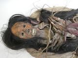 une image montrant un gros plan du visage d'une personne, avec des cheveux, sur un sac