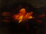 une peinture à l'huile représentant une fleur d'oranger sur fond noir