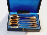 six spoons in a black case on a blue cloth