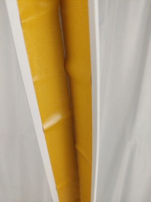 deux carottes emballées dans un sac en plastique