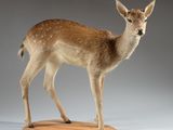 une statue représentant un cerf debout sur un socle en bois